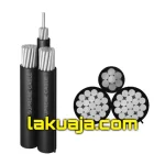 NFA2X-21-Core-watermark.webp
