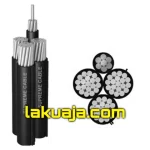 NFA2X-31-Core-watermark.webp